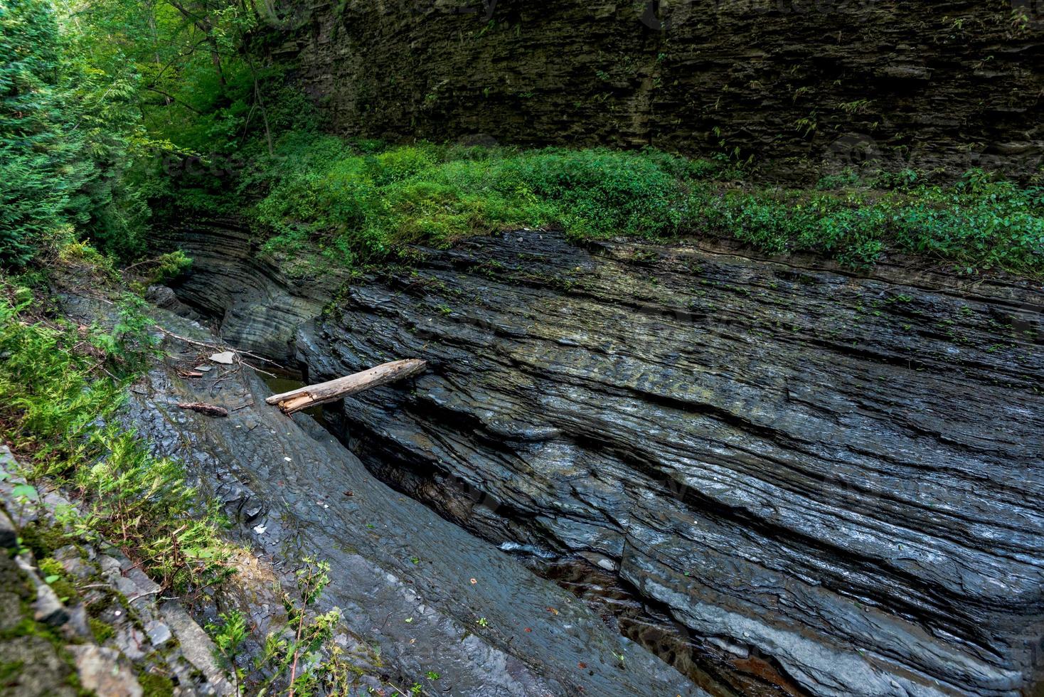Watkins Glen State Park photo