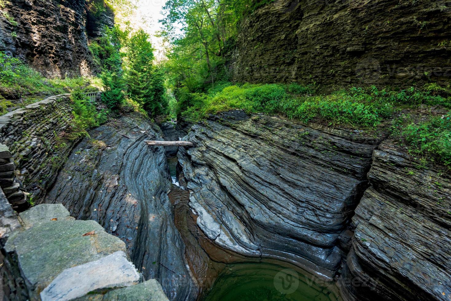 parque estatal watkins glen foto