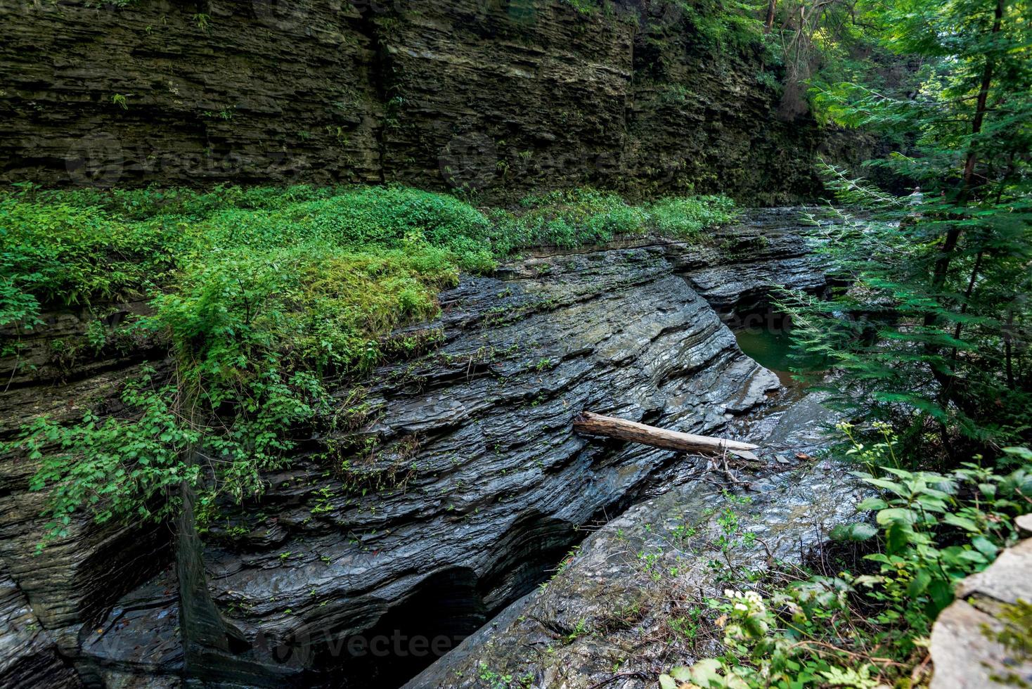 parque estatal watkins glen foto