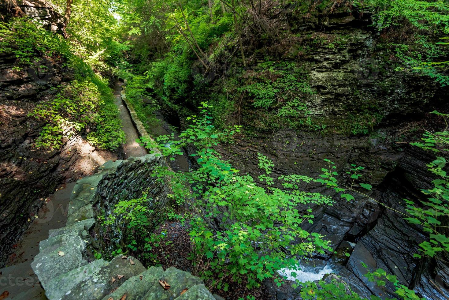 parque estatal watkins glen foto