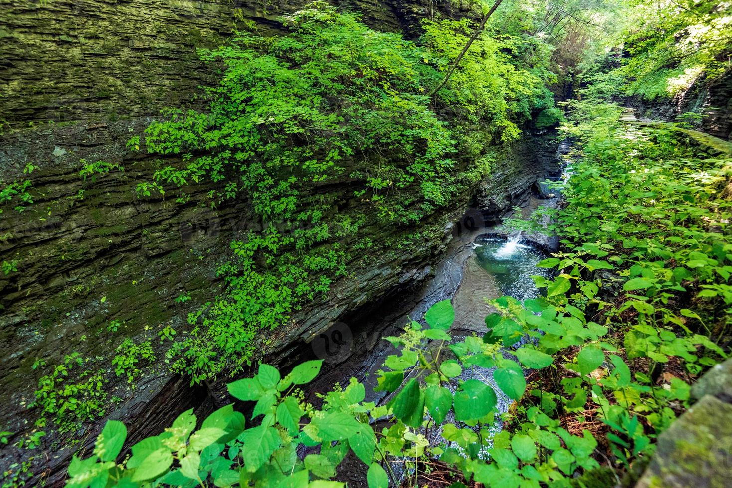 Watkins Glen State Park photo