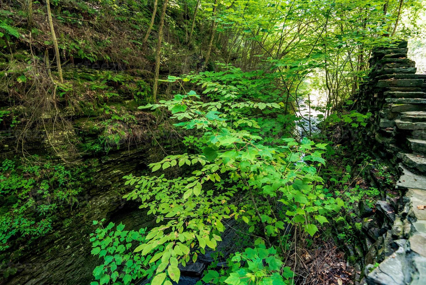 Watkins Glen State Park photo