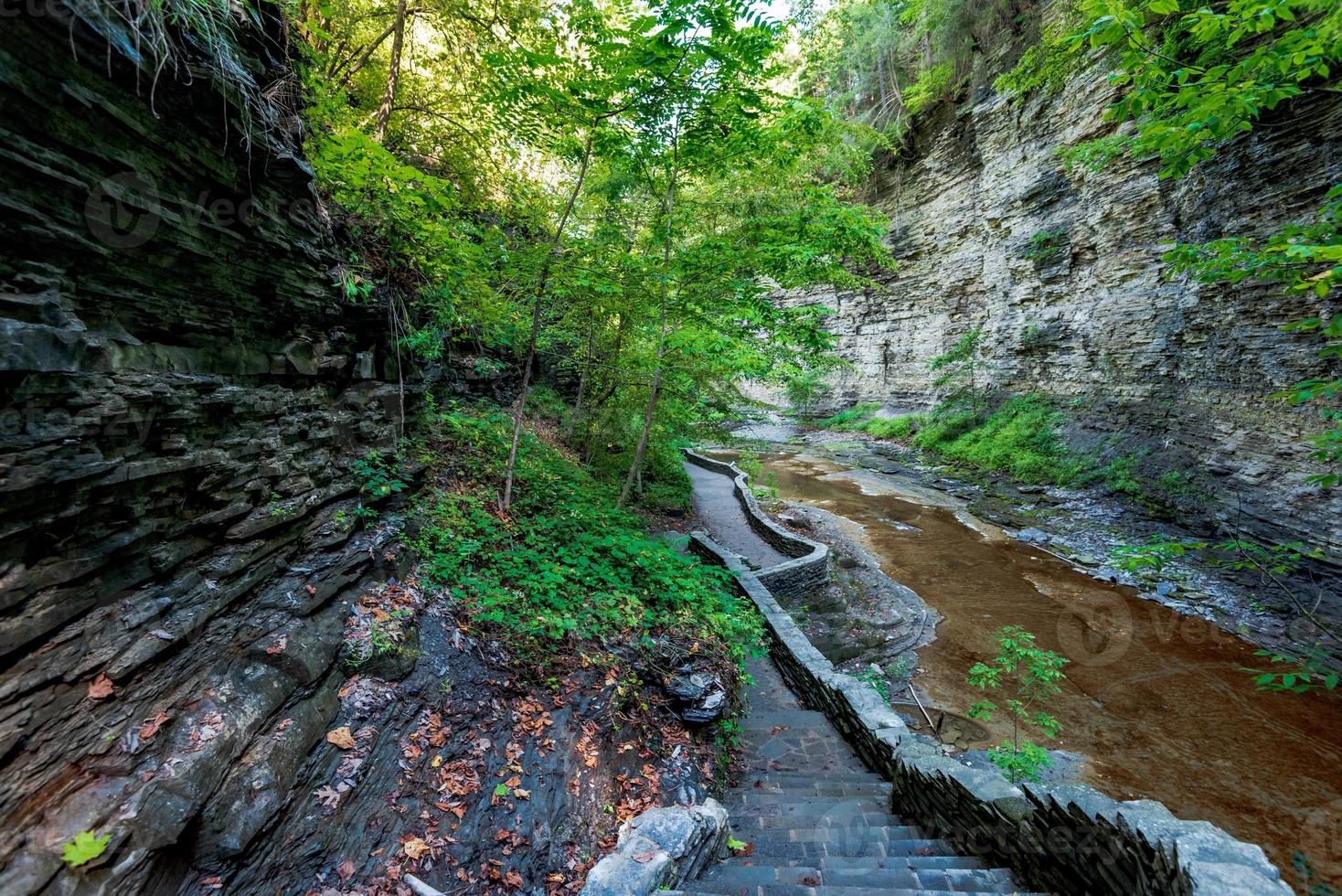 parque estatal watkins glen foto