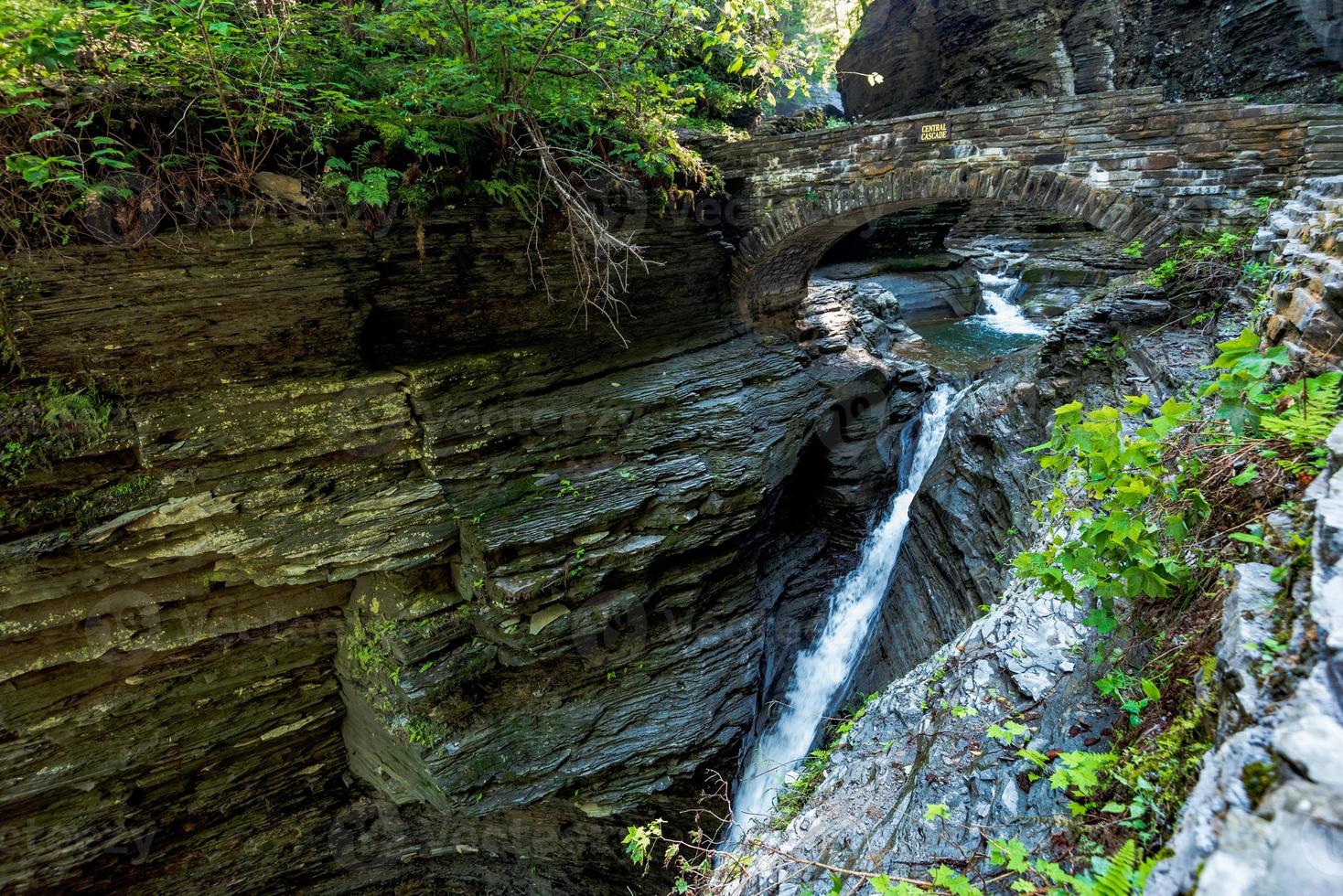 Watkins Glen State Park photo