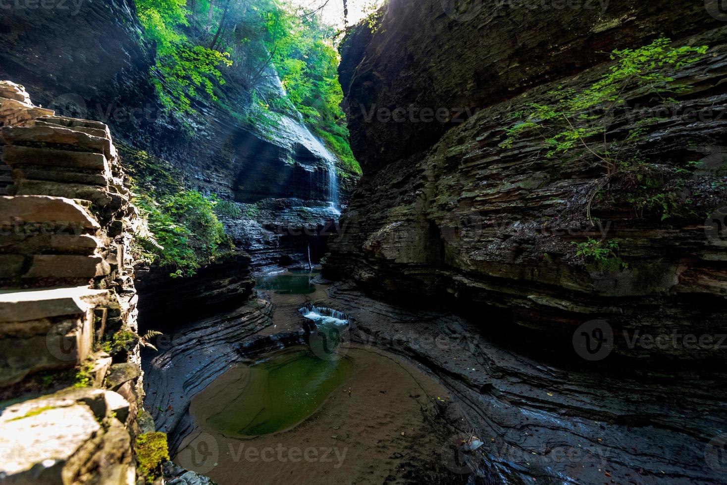 Watkins Glen State Park photo