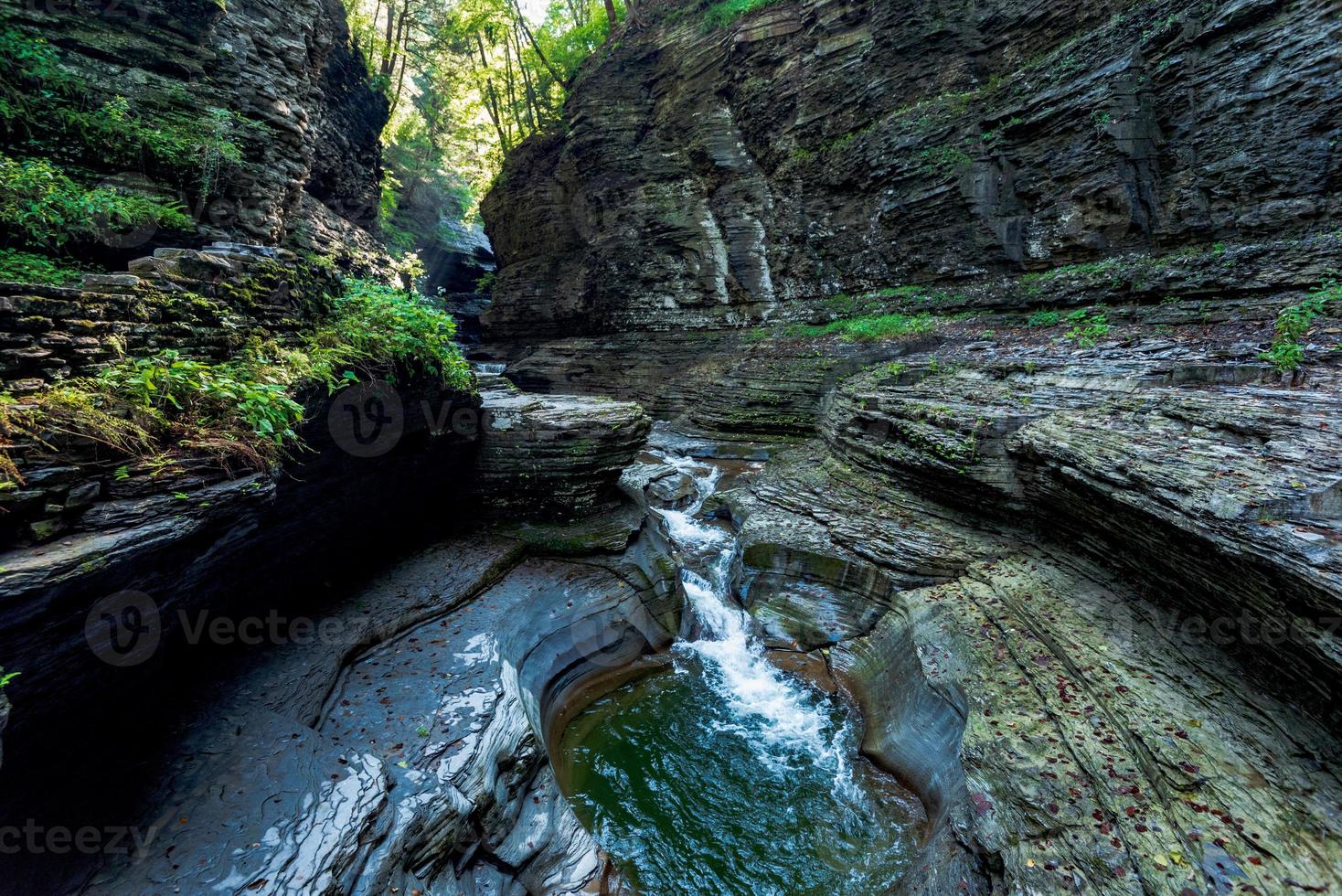 parque estatal watkins glen foto