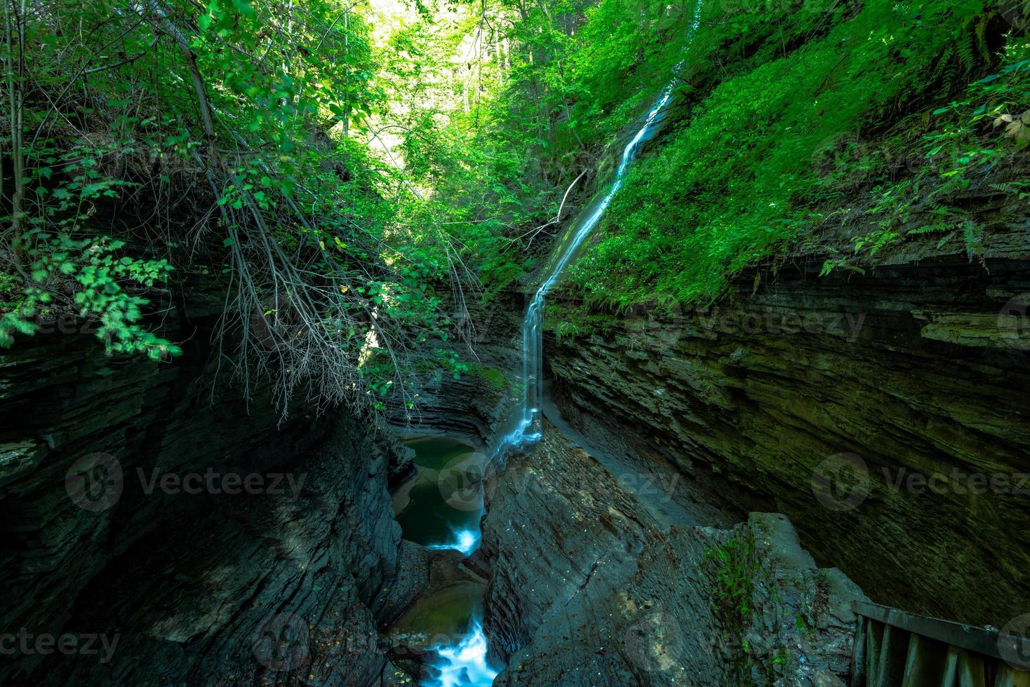 parque estatal watkins glen foto