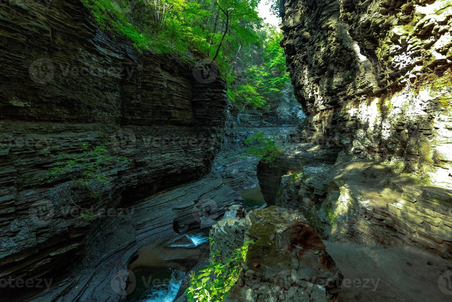 parque estatal watkins glen foto