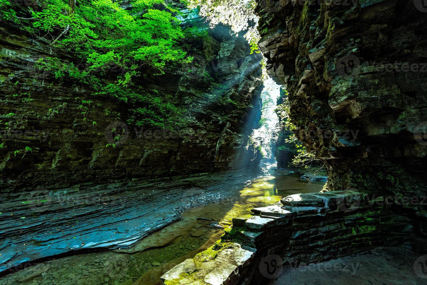 Watkins Glen State Park photo