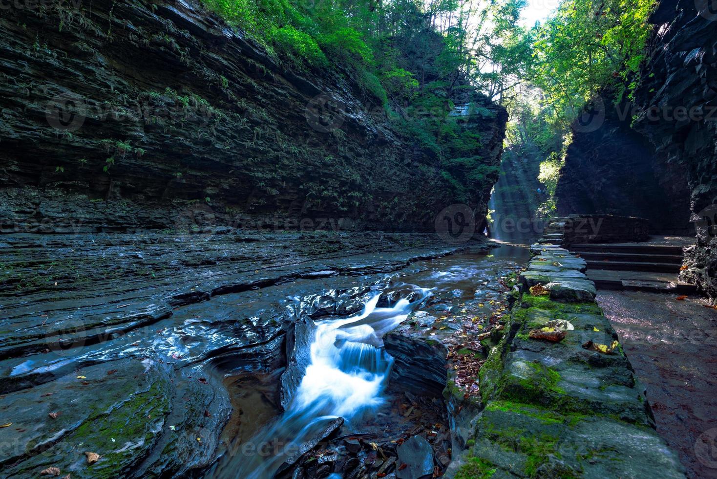 parque estatal watkins glen foto