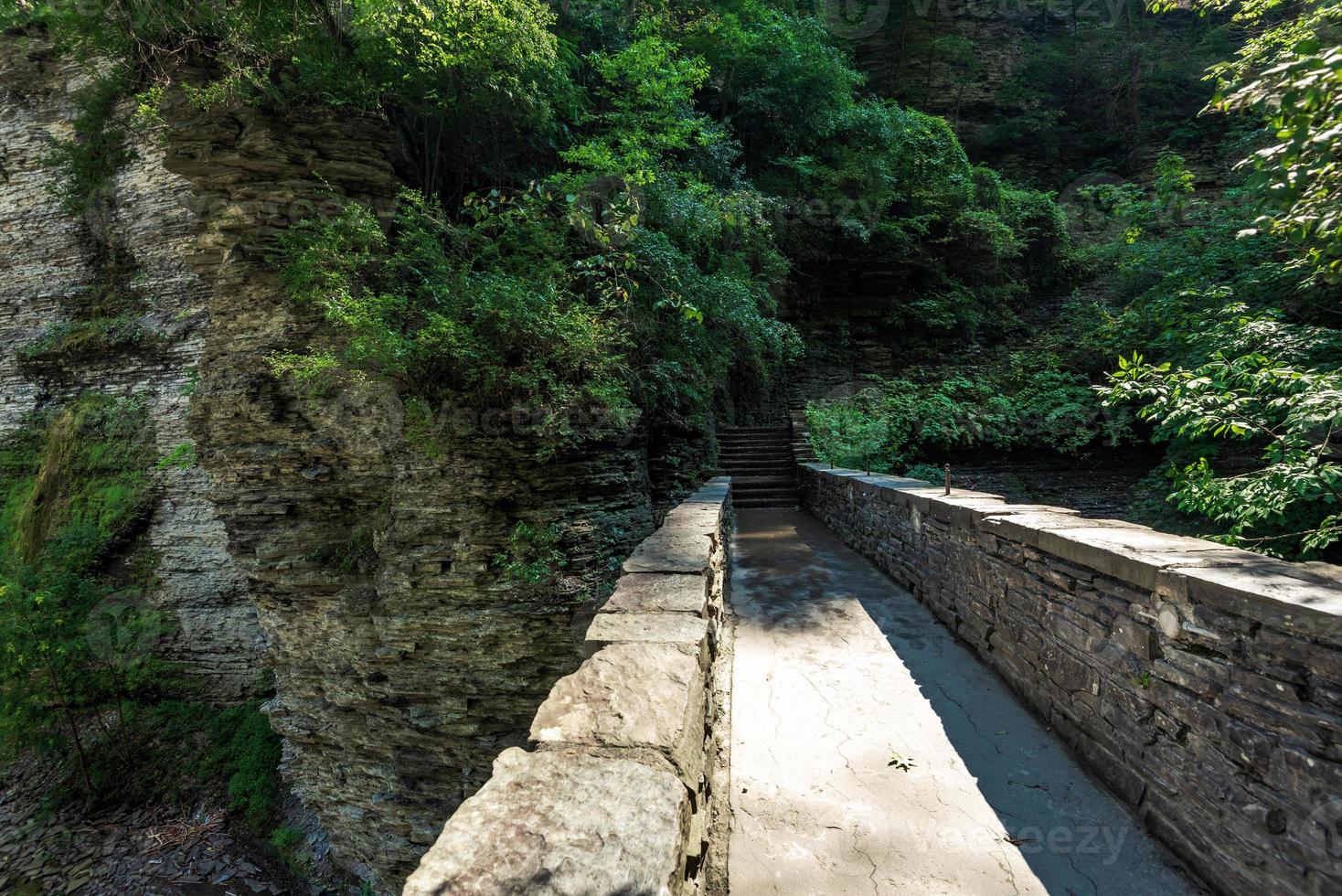 parque estatal watkins glen foto