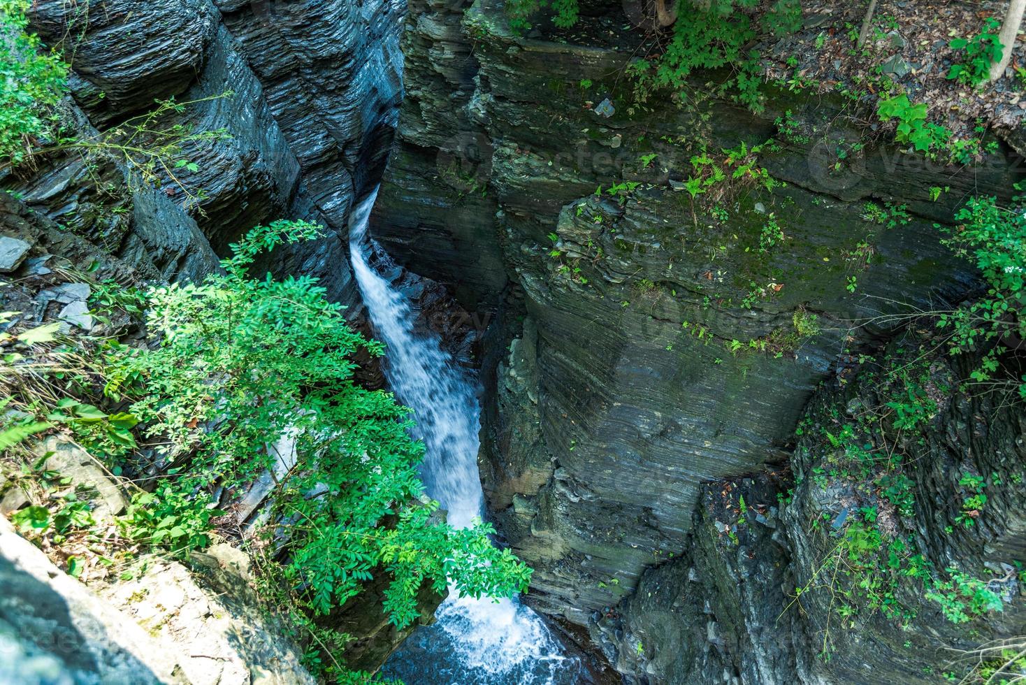 parque estatal watkins glen foto