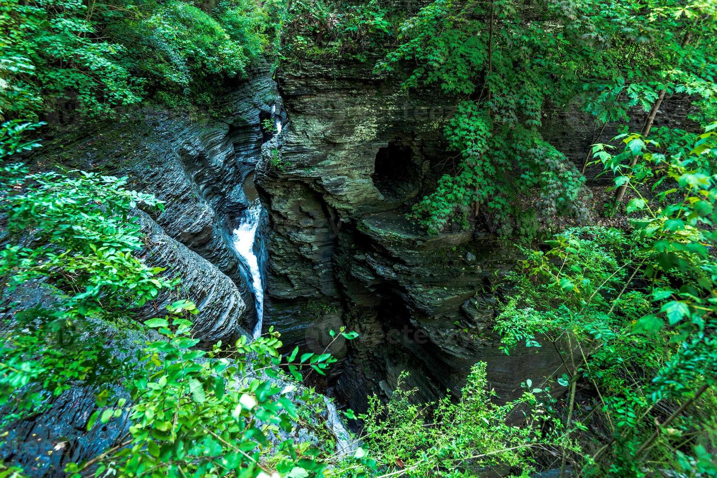 Watkins Glen State Park photo