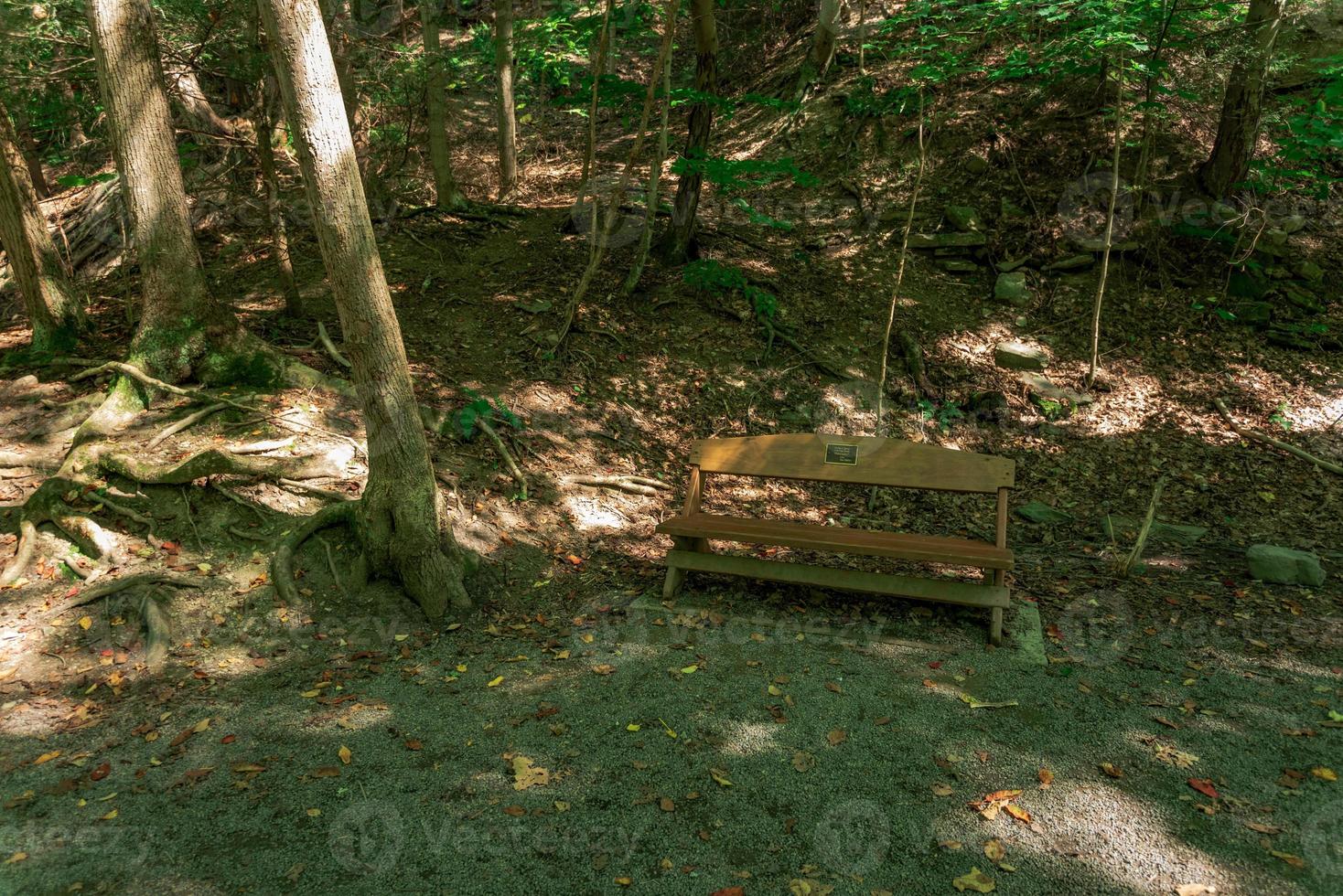 Taughannock Falls - Gorge Trail photo