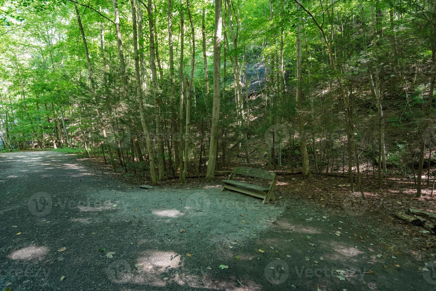 Taughannock Falls - Gorge Trail photo