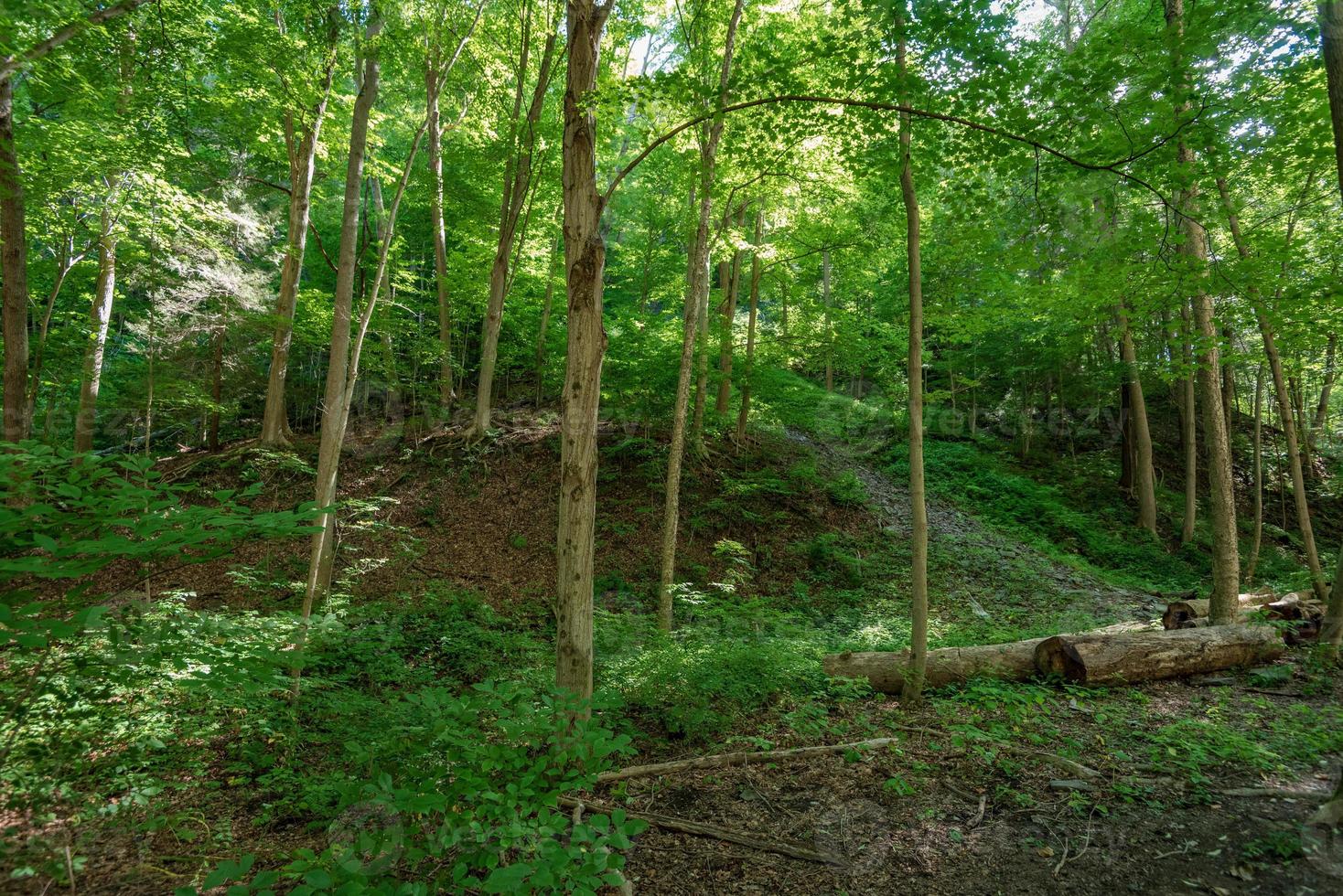 Taughannock Falls - Gorge Trail photo