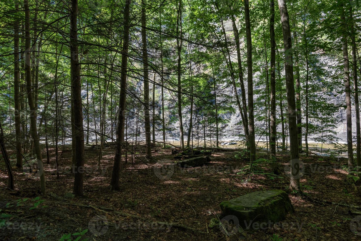 Taughannock Falls - Gorge Trail photo