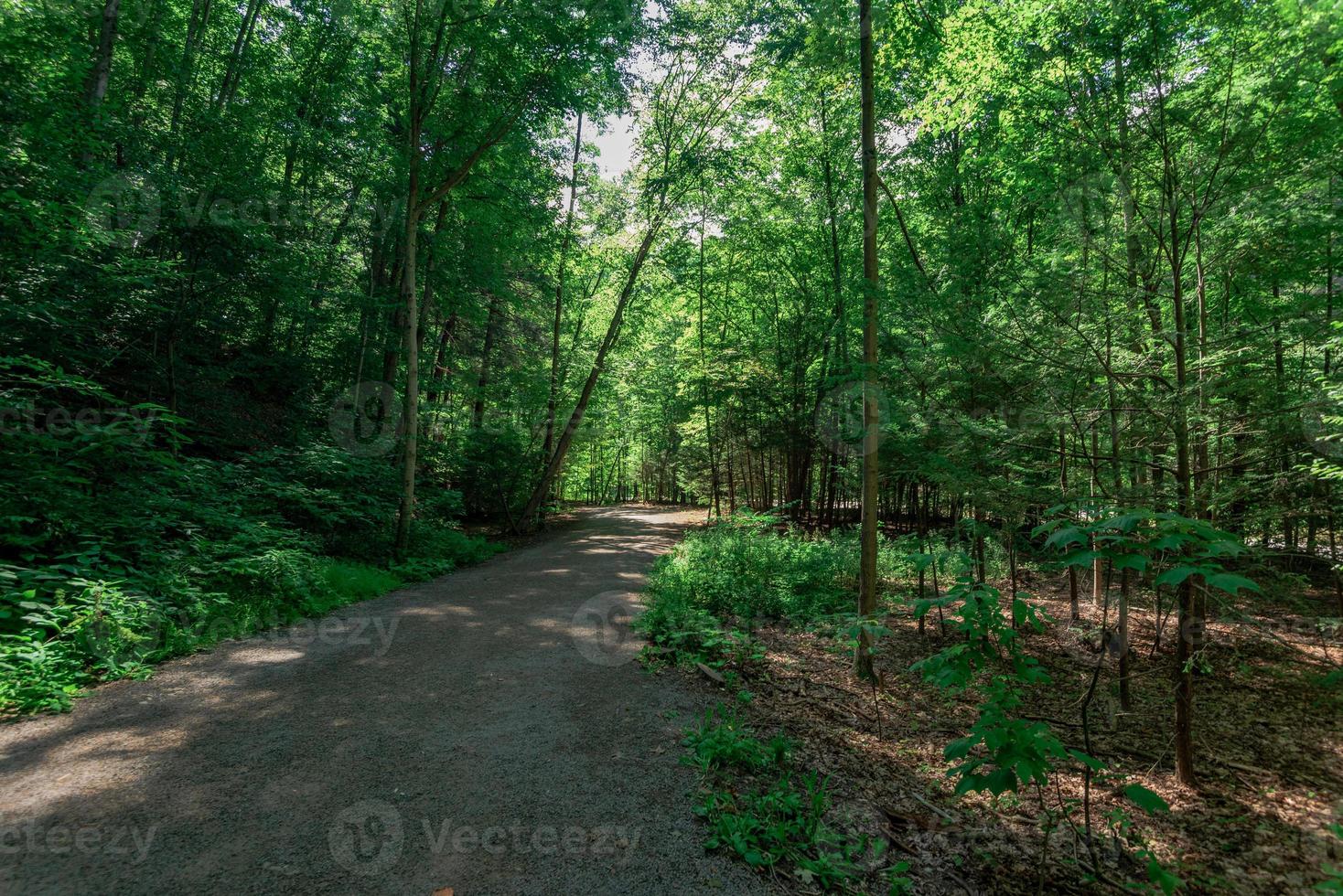 Taughannock Falls - Gorge Trail photo