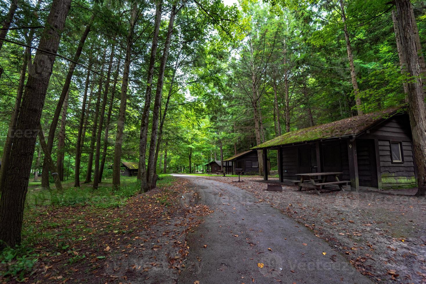 Robert H. Treman State Park - Cabins photo