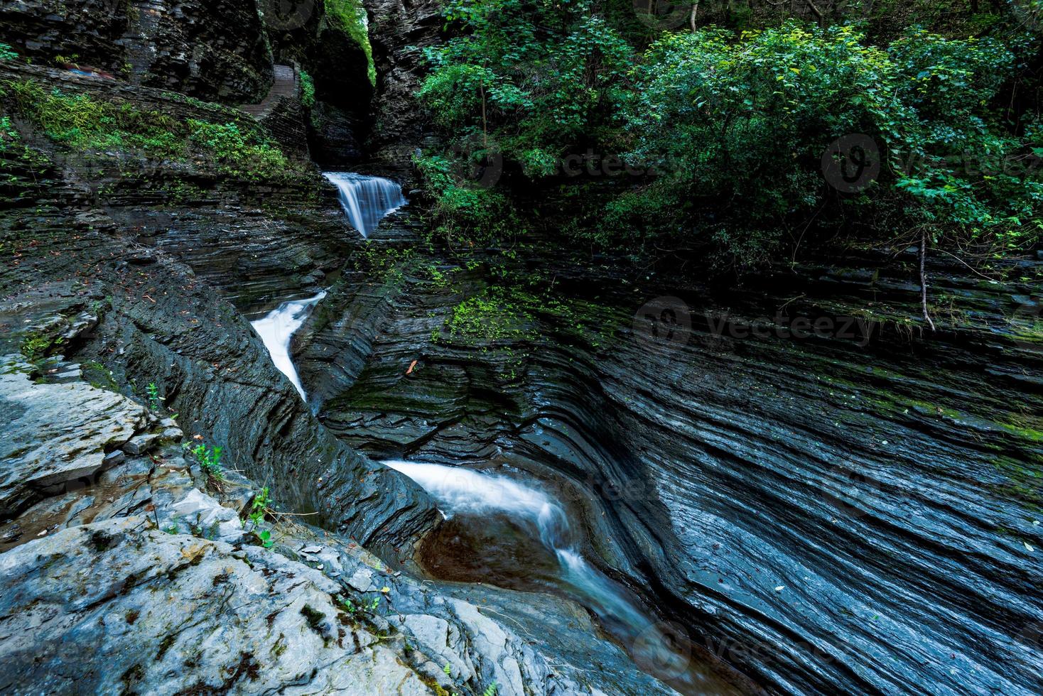 parque estatal watkins glen foto