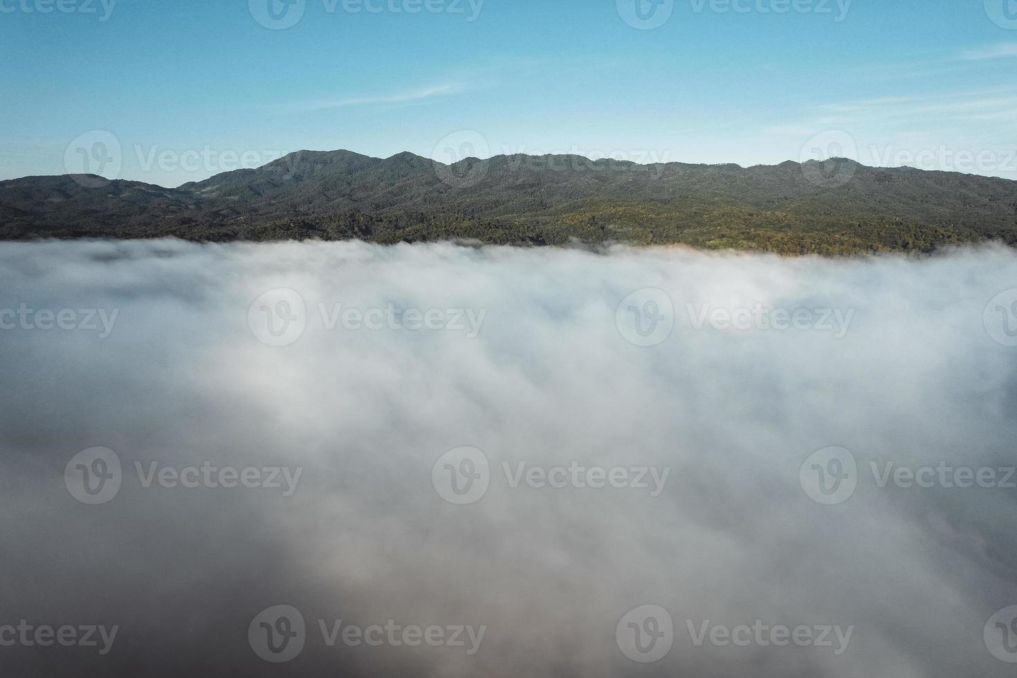 niebla de la mañana en el bosque desde arriba foto