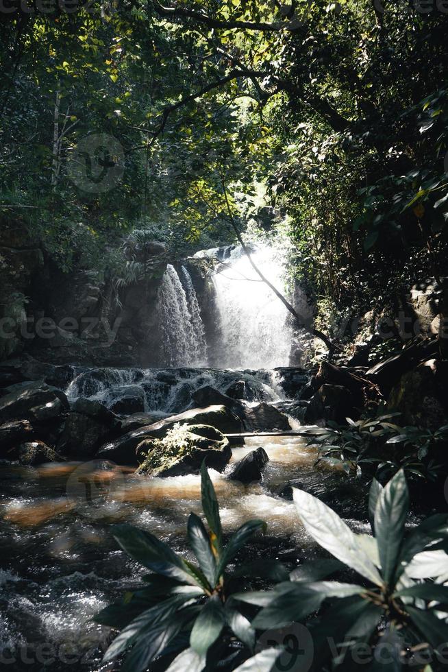Waterfall in a tropical forest in the daytime photo