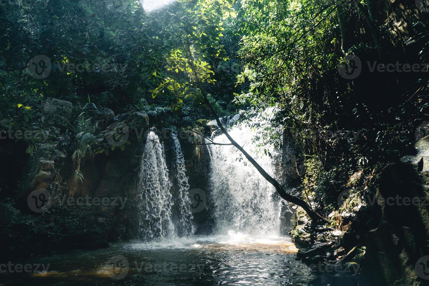 cascada en un bosque tropical durante el día foto