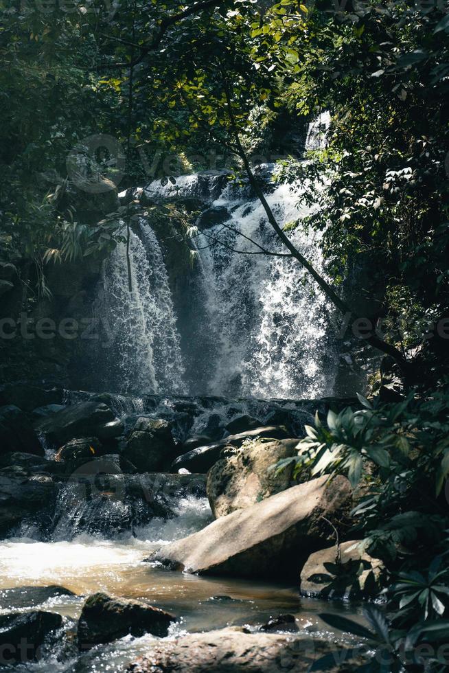 Waterfall in a tropical forest in the daytime photo