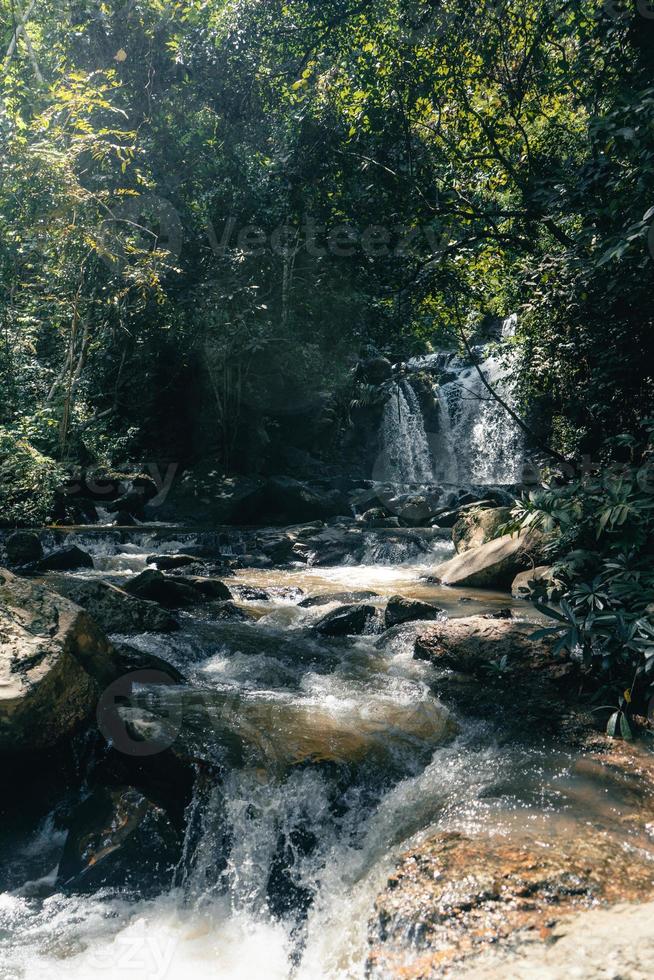 Waterfall in a tropical forest in the daytime photo