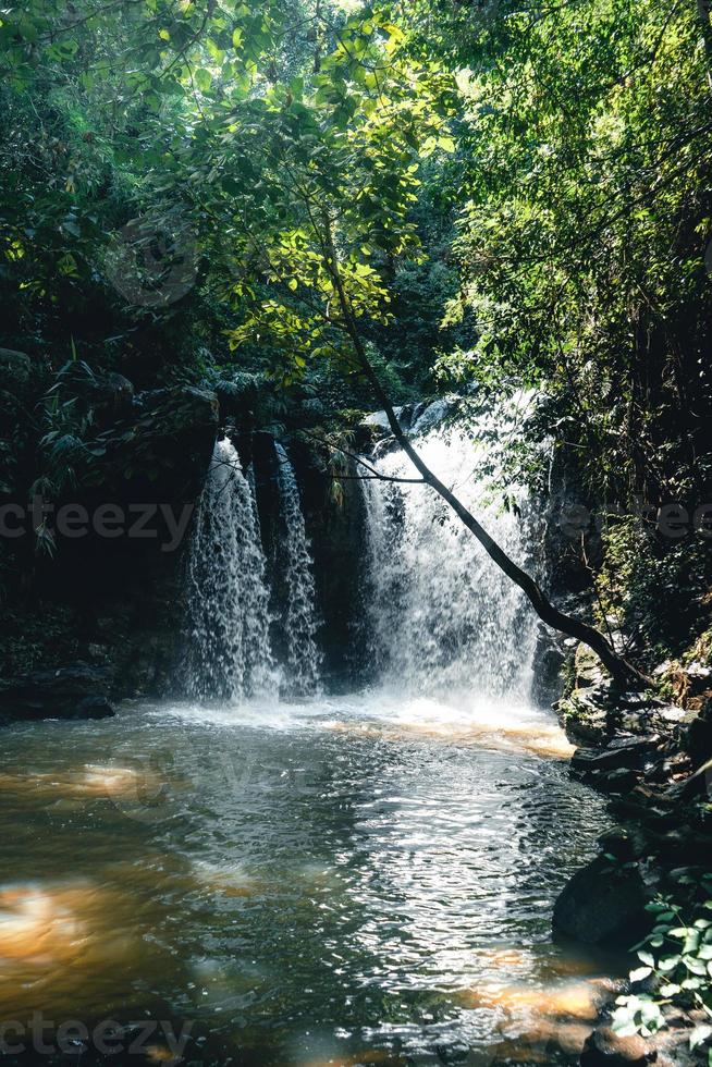Waterfall in a tropical forest in the daytime photo