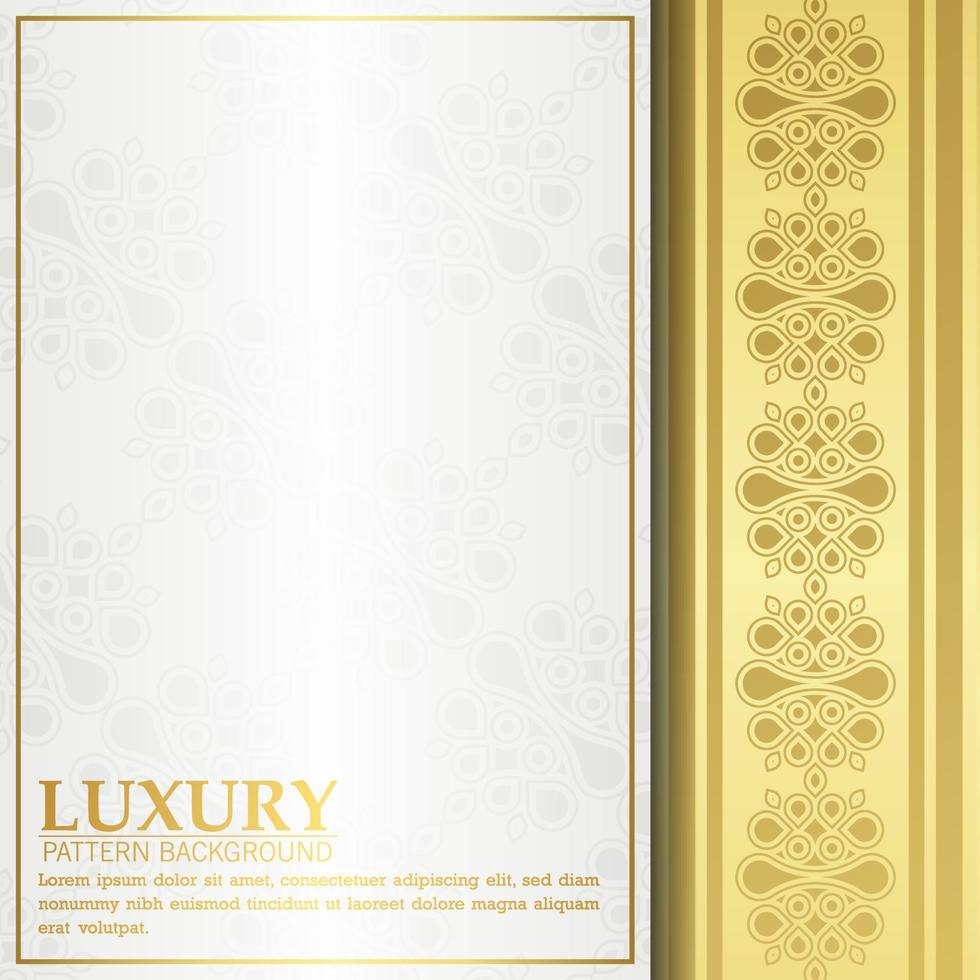 luxury white ornament pattern cover vector