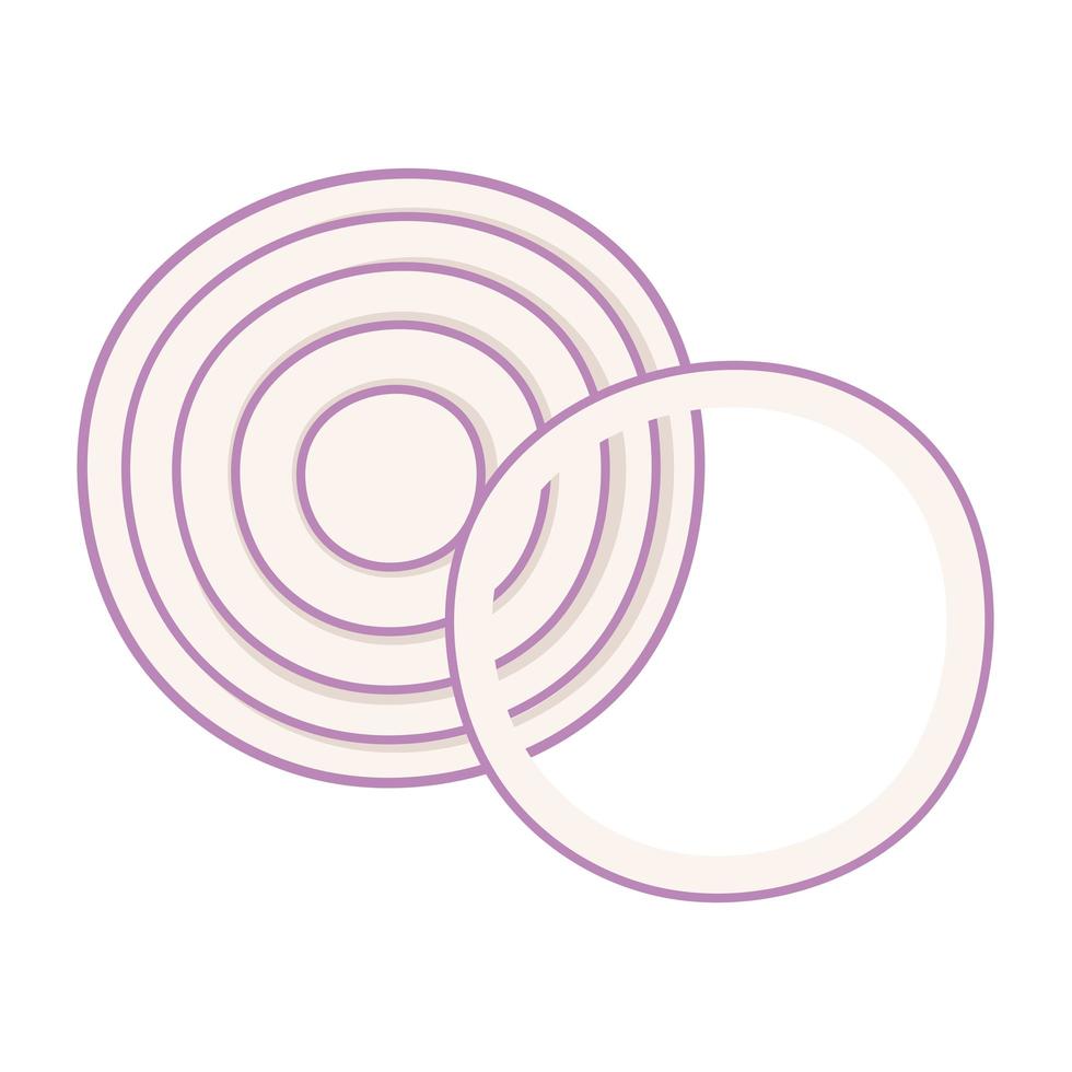 onion fresh vegetable vector