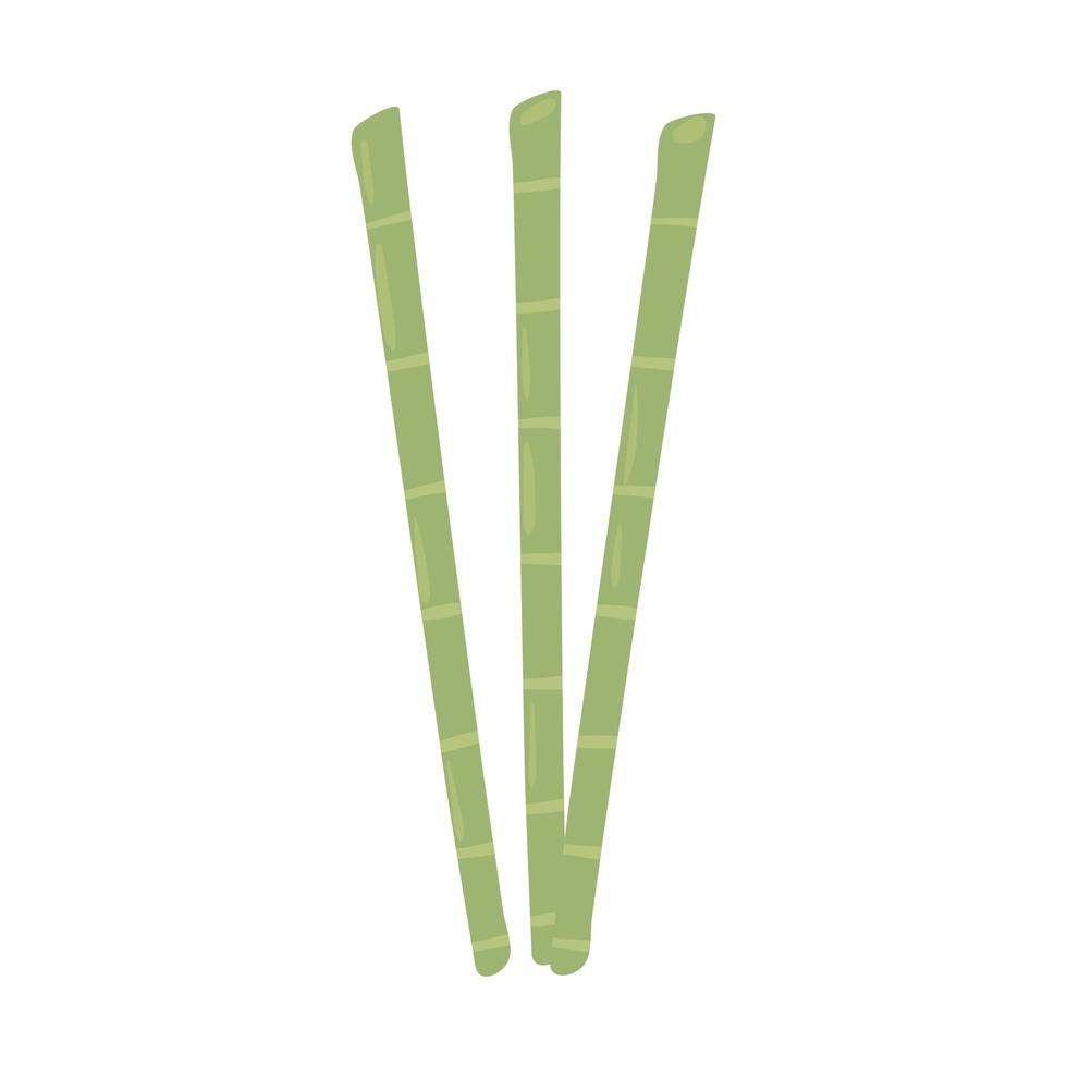 bamboo sticks botanical vector
