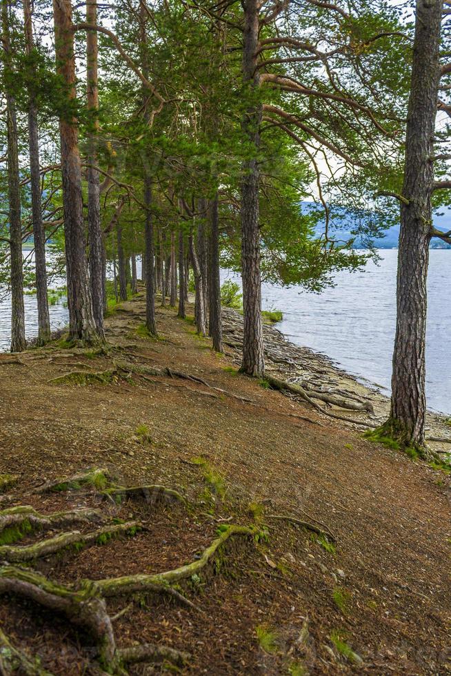 isla vesleoye naturaleza en la ciudad fagernes fylke innlandet noruega. foto