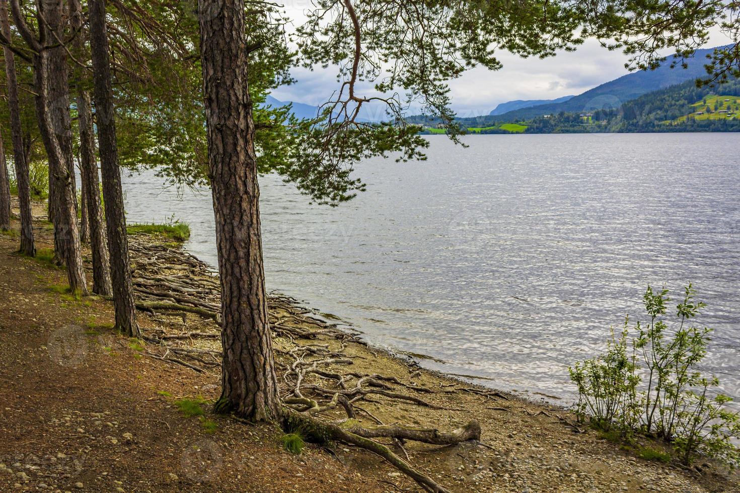 isla vesleoye naturaleza en la ciudad fagernes fylke innlandet noruega. foto