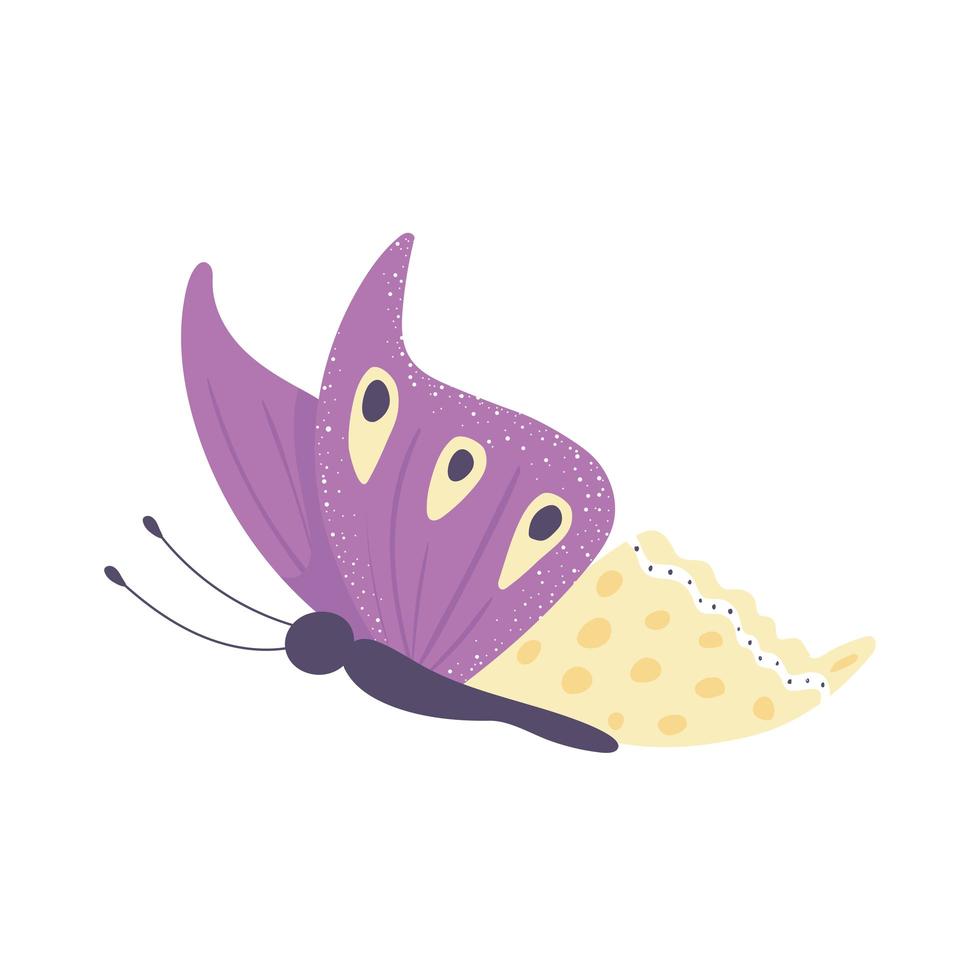 butterfly side view vector