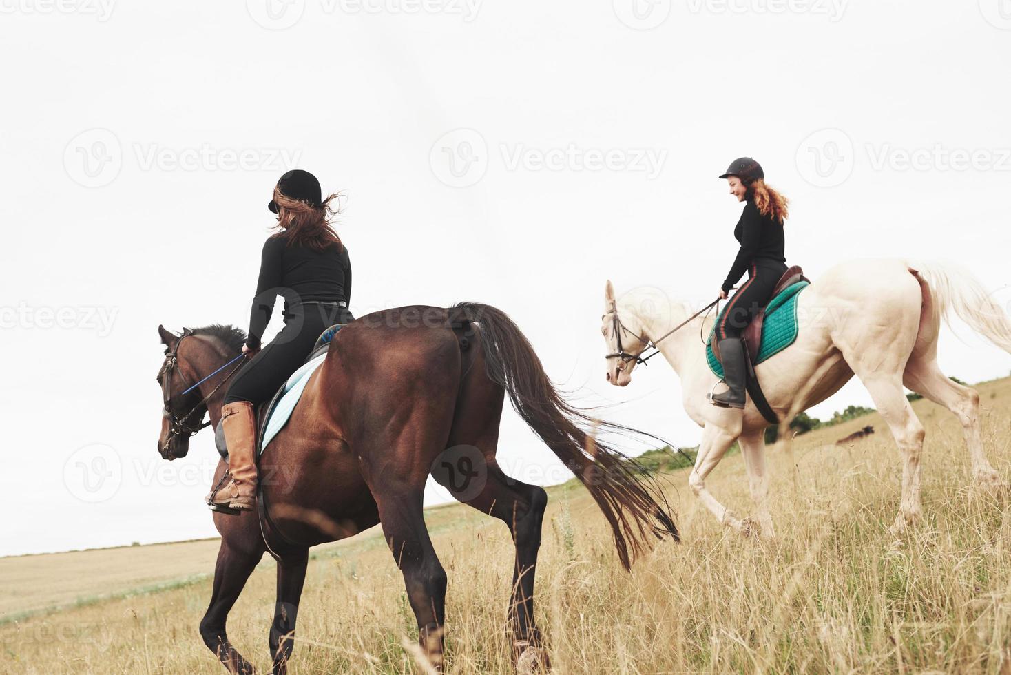 Two young pretty girls riding a horses on a field. They loves animals andhorseback riding photo