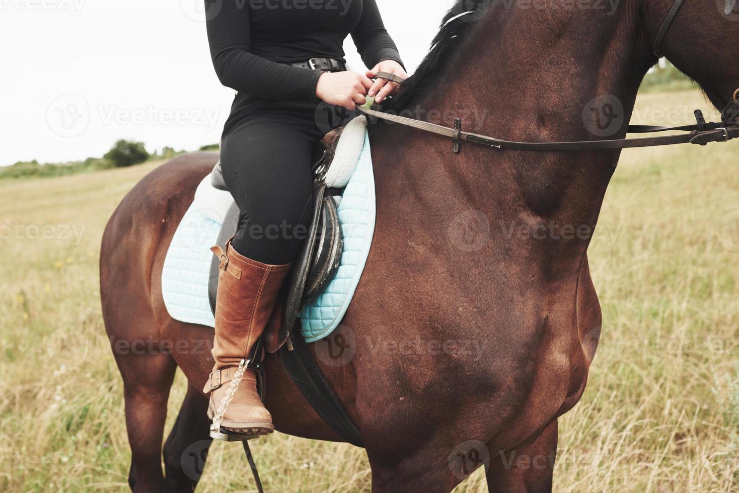 Imagen en primer plano de la joven y bella mujer monta un caballo foto