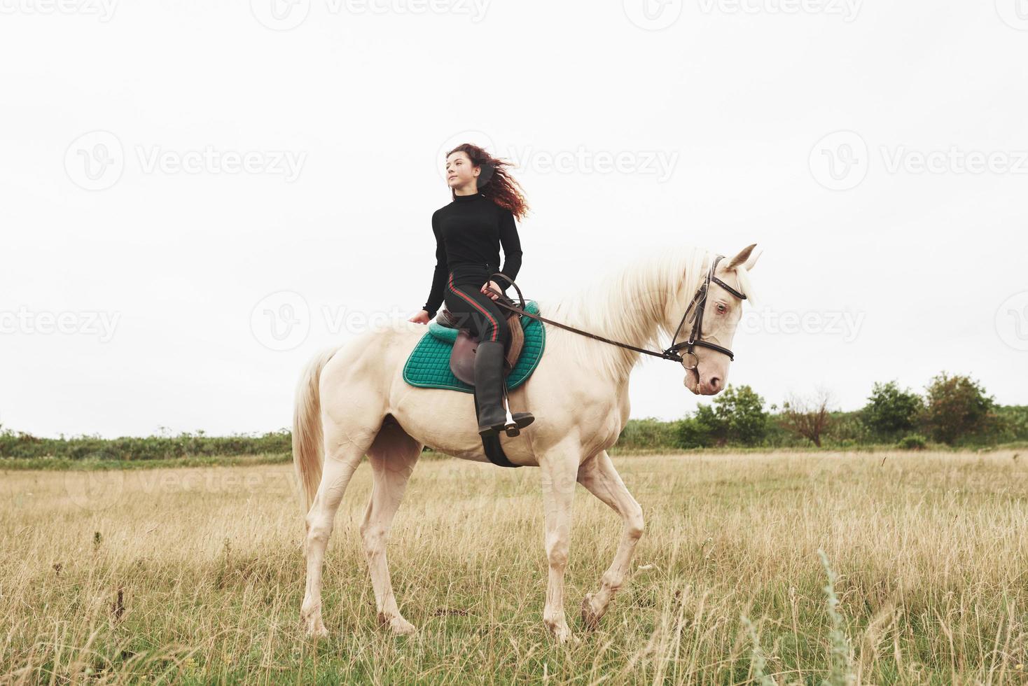 Young pretty girl - riding a horse, equestrian sport in spring time photo