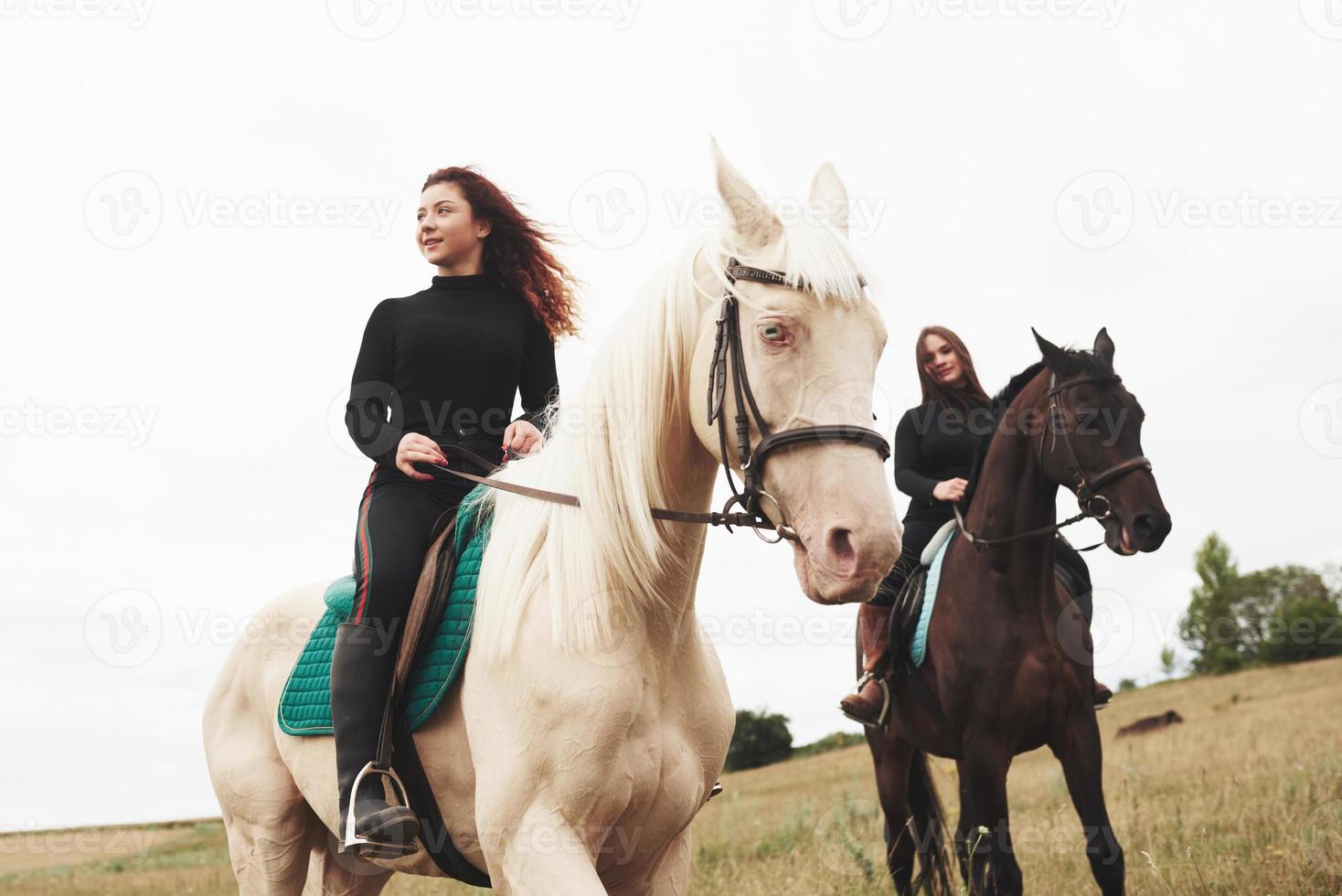 Two young pretty girls riding a horses on a field. They loves animals andhorseback riding photo