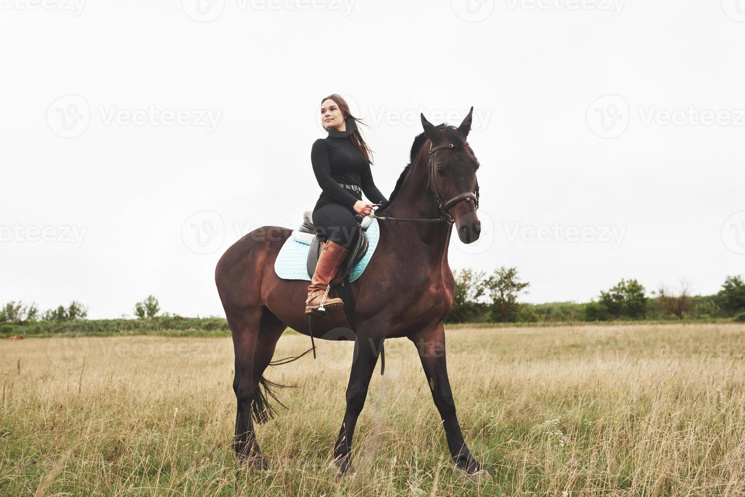 Young pretty girl - riding a horse, equestrian sport in spring time photo