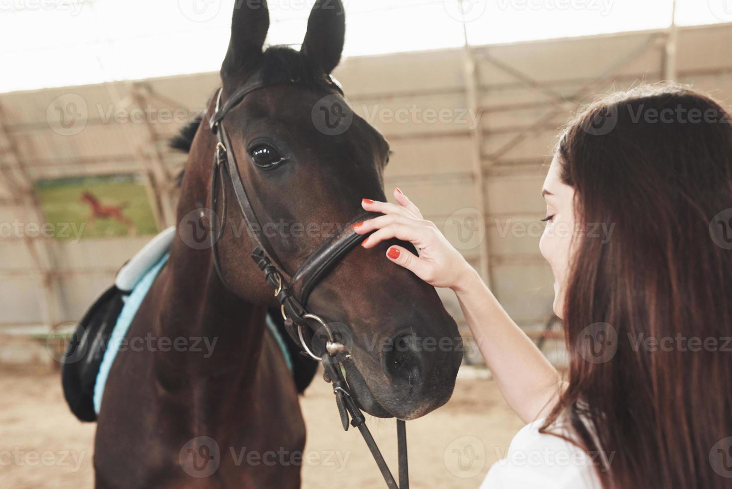 una niña feliz se comunica con su caballo favorito. la niña ama a los animales y a montar a caballo foto