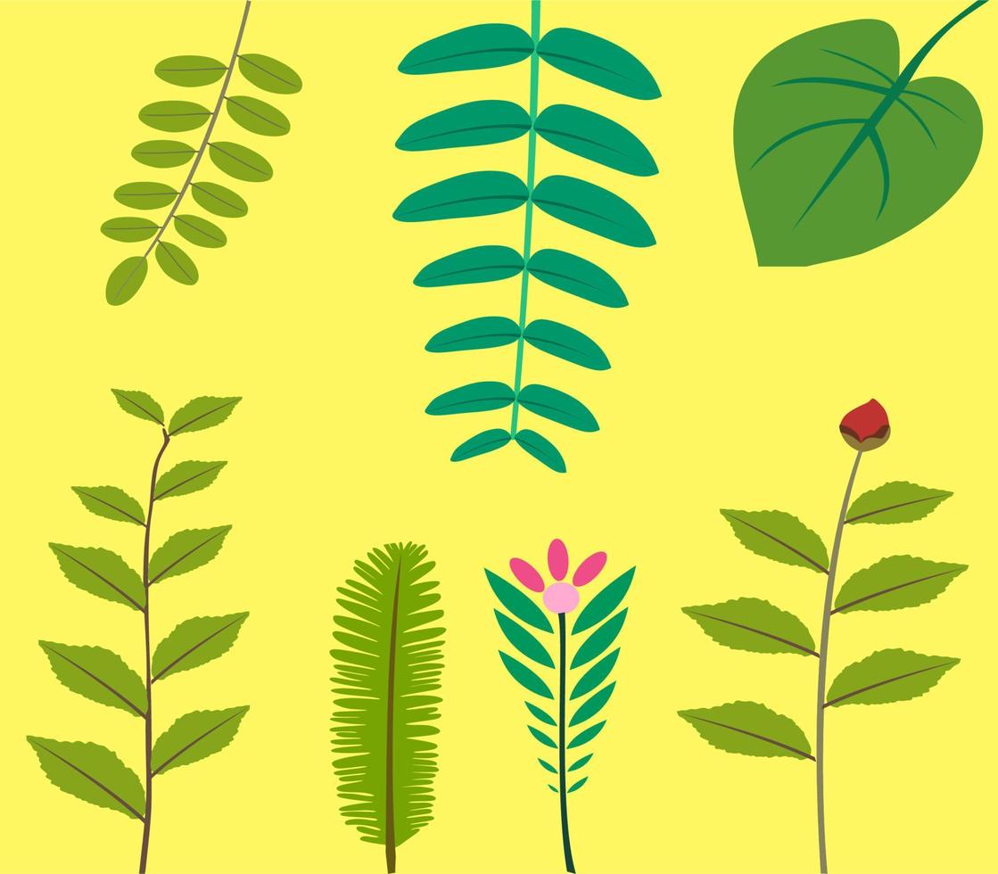 flower plant illustration vector