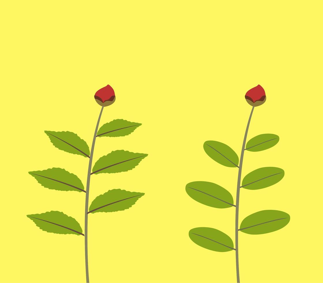 ilustración de planta de flor vector