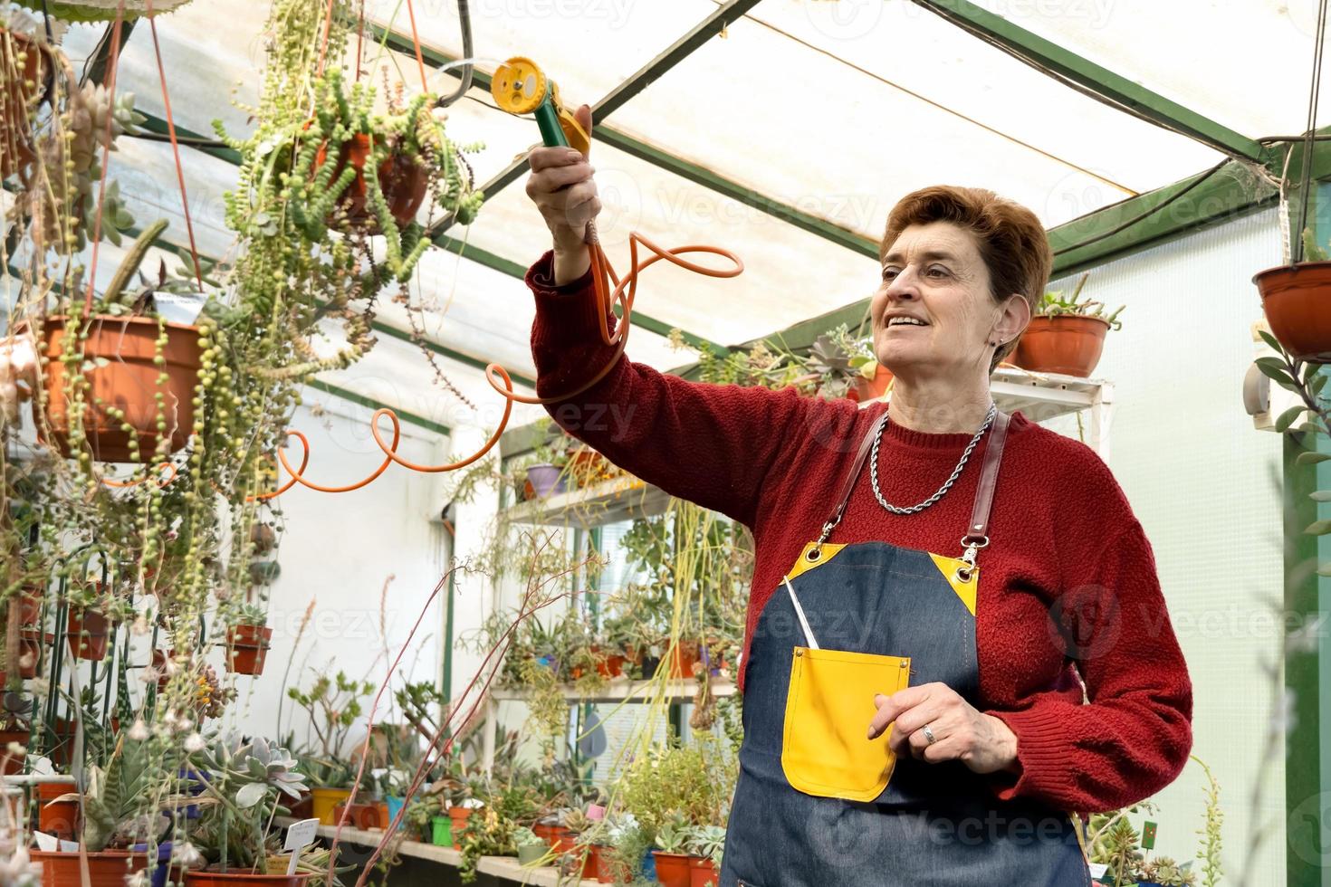 Mujer caucásica regar las plantas en invernadero foto