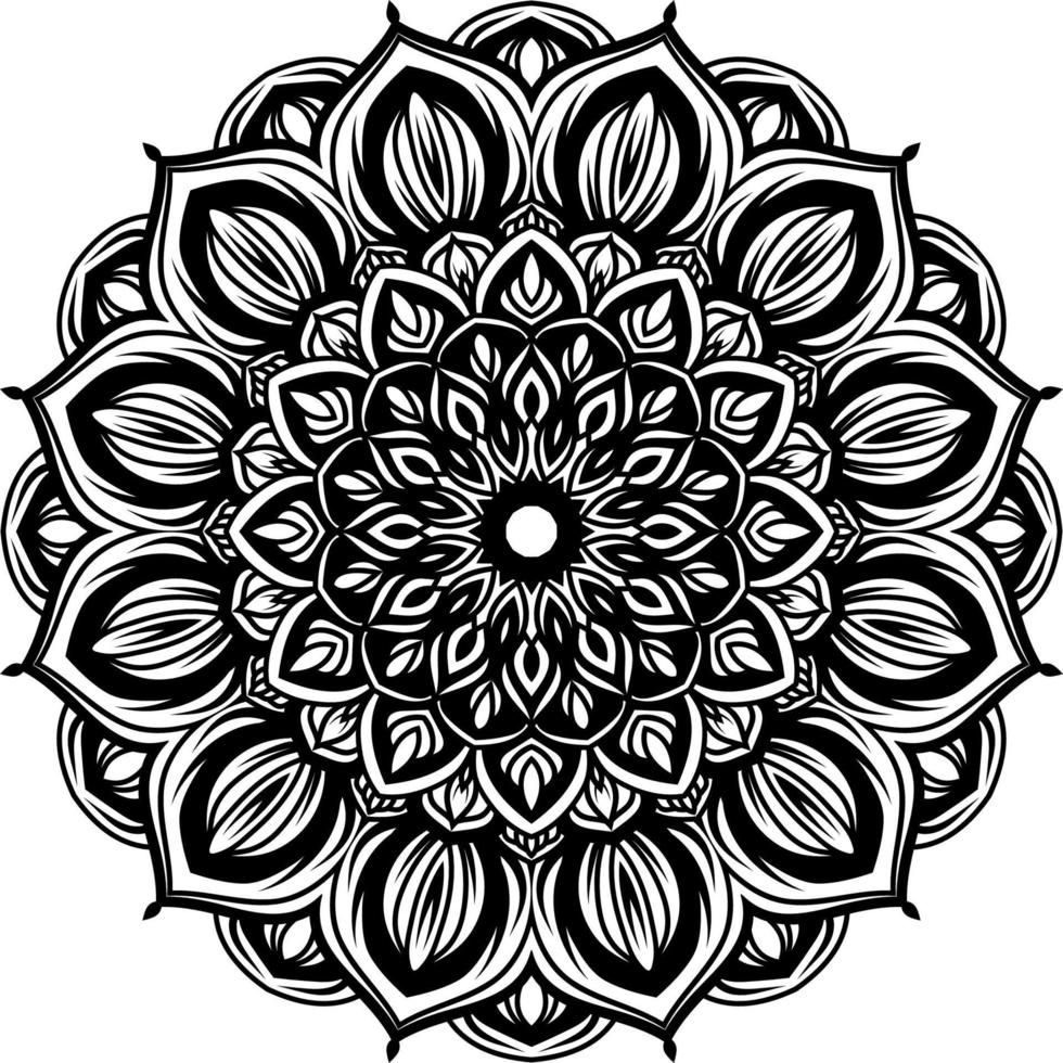 circular pattern mandala art background decoration vector