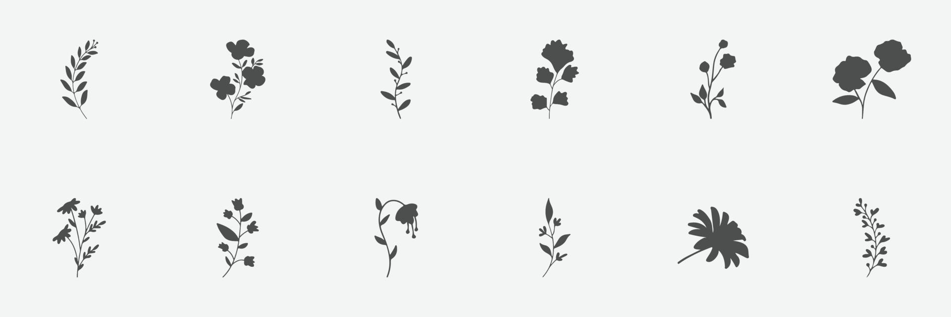 floral set of silhouettes of plants and flowers vector