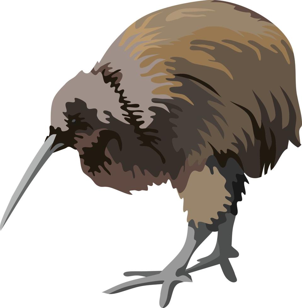 vector de animal de pájaro kiwi