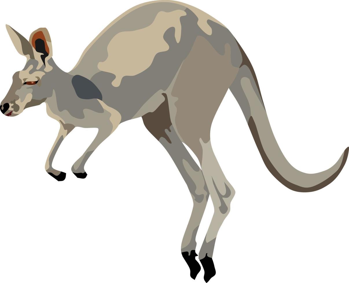 Kangaroo Mammal Animal Vector