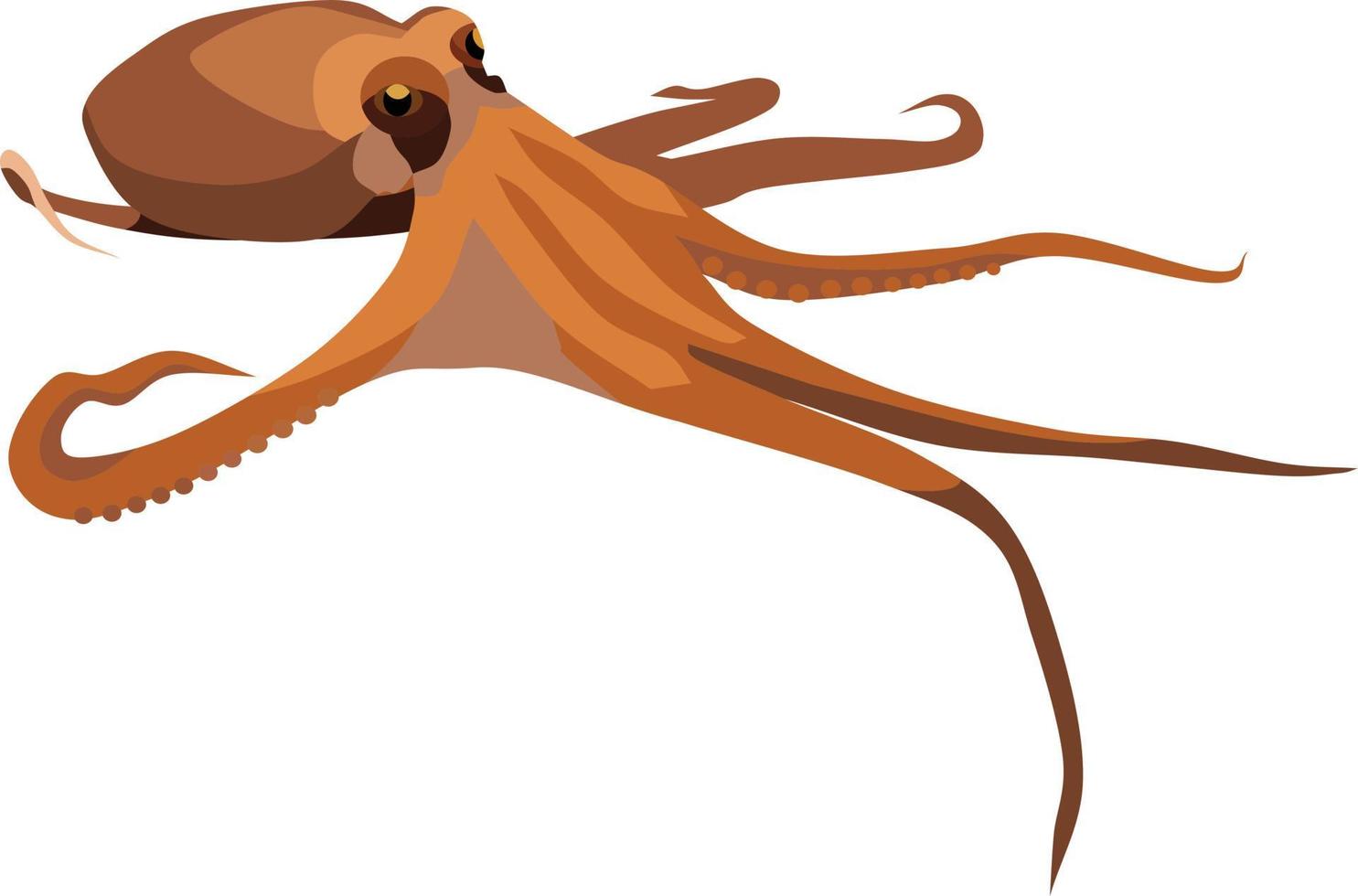 Octopus Ocean Animal Vector